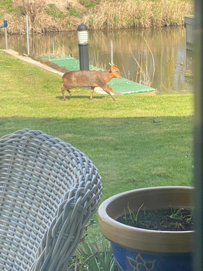 Otters End, Near Wroxham Appartement Dilham Buitenkant foto